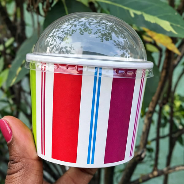 paper ice cream cup supplier