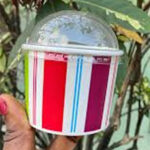 paper ice cream cup supplier