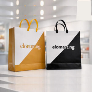 Paper Bag With Plastic Handle