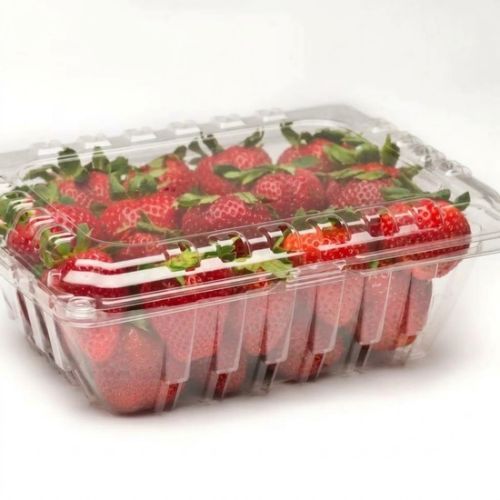 Disposable Fruit Plates With Lid Cover for Fresh Fruit Packaging by Eloquent Prints and Packaging in Lagos, Nigeria.